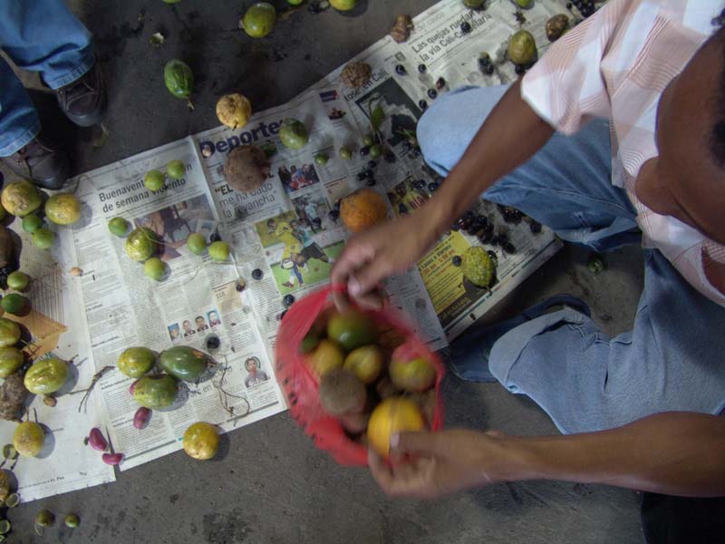 Federico Guzm&aacute;n