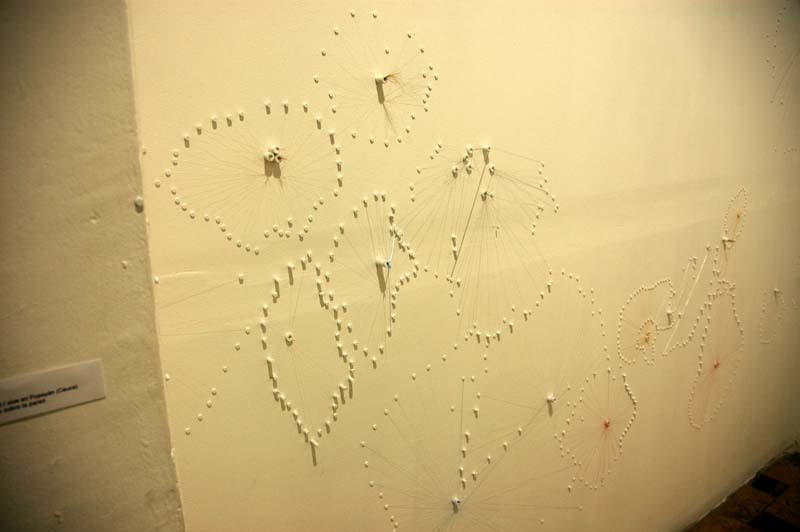 Sandra Patricia Navia