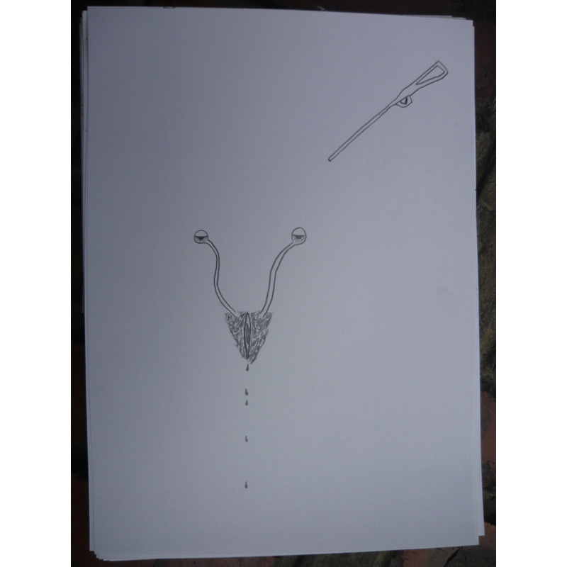 Slideshow Image 2