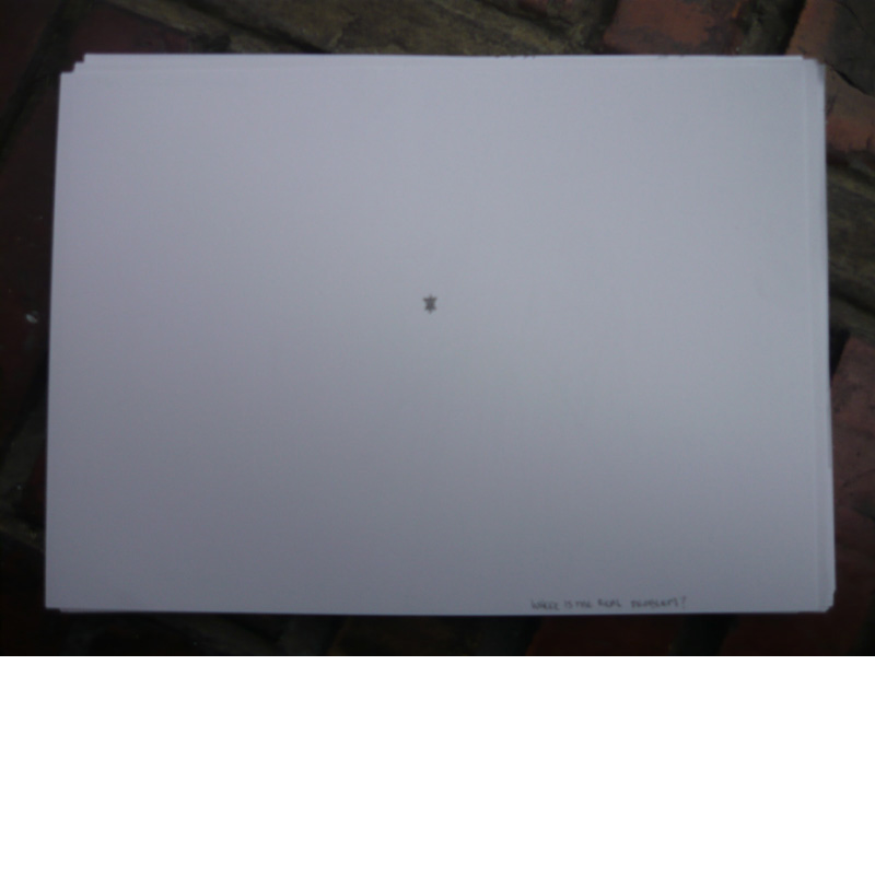 Slideshow Image 2