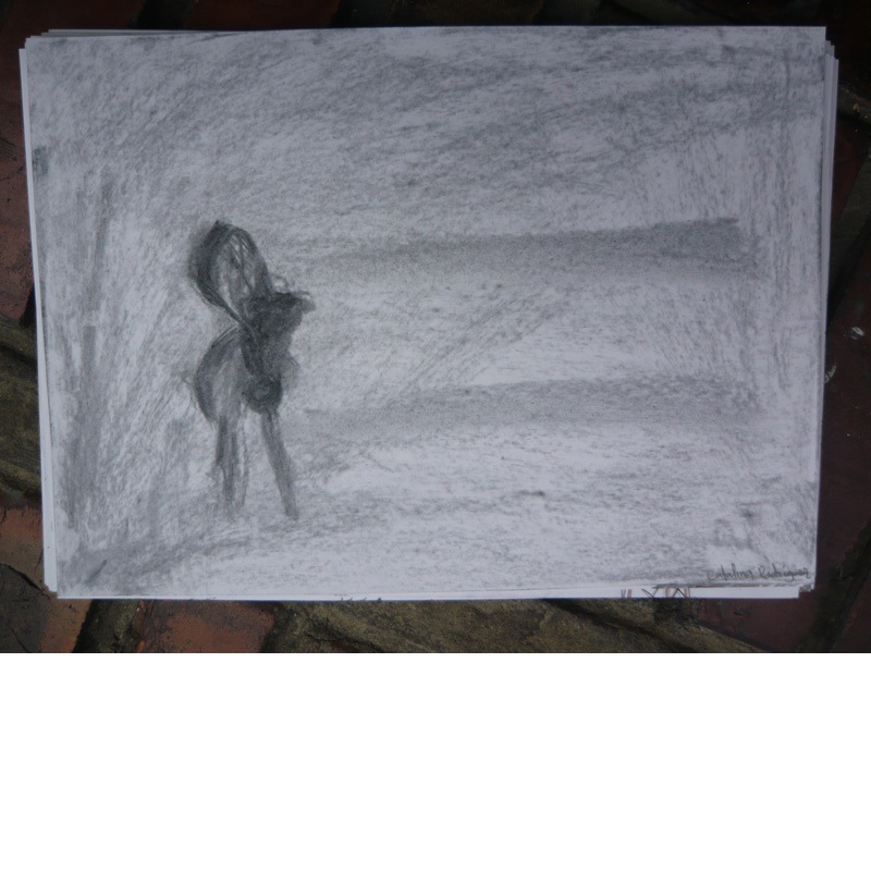 Slideshow Image 2